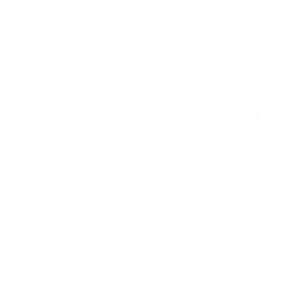 Security at the core